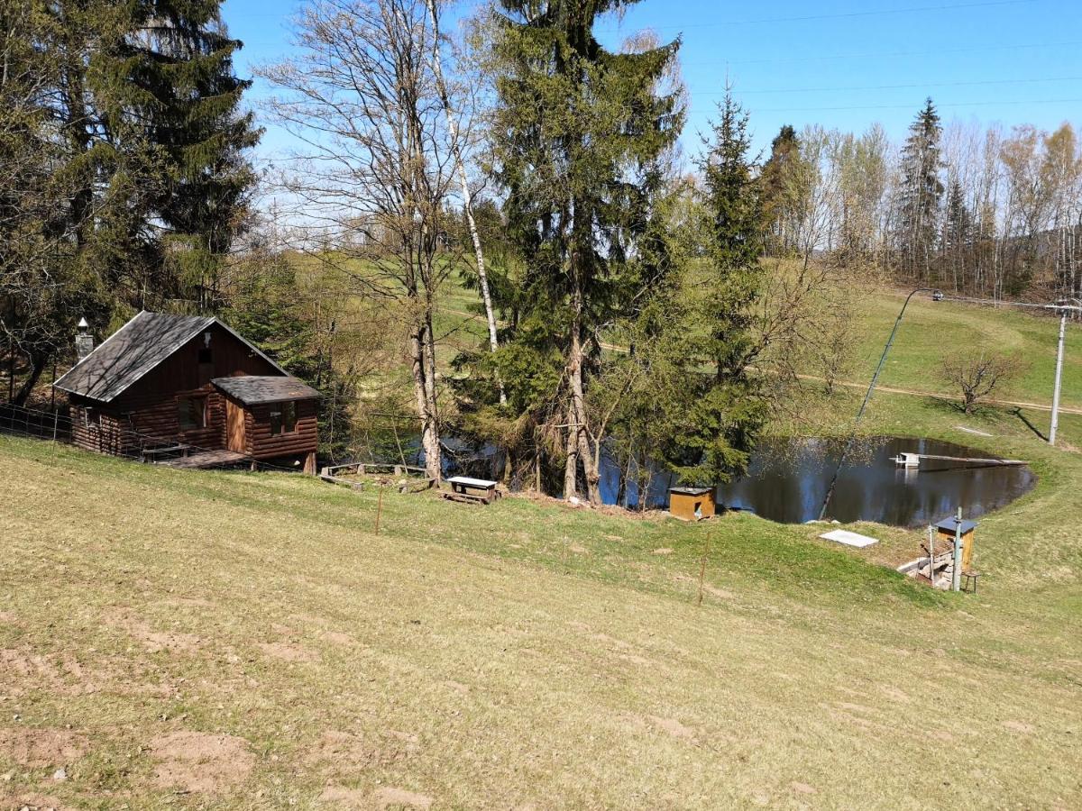 Srub na svahu sjezdovky v Radvanicích Radvanice (Hradec Kralove) Exterior foto